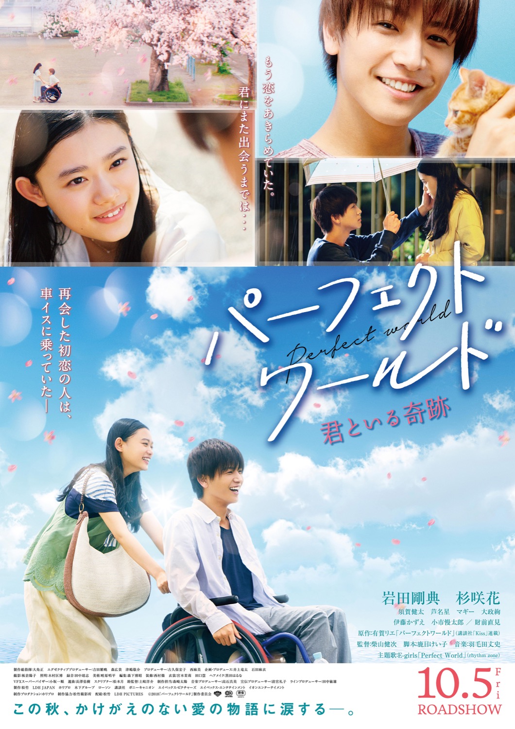 「パーフェクトワールド 君といる奇跡」映画ポスター