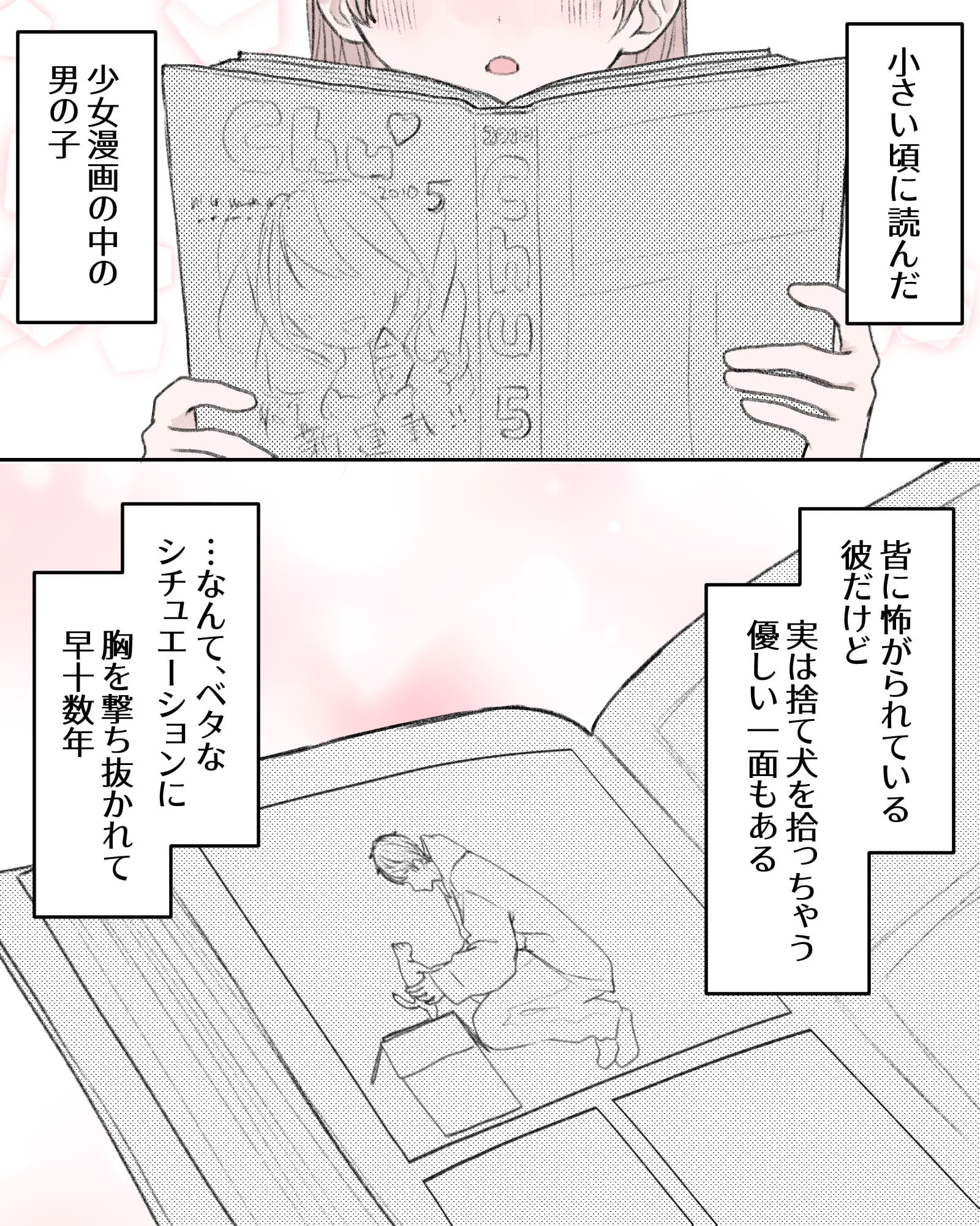 ――小さい頃に読んだ、少女漫画の中の男の子。
皆に怖がられている彼だけど、実は捨て犬を拾っちゃう優しい一面もある…なんてベタなシチュエーションに胸を撃ち抜かれて早十数年。