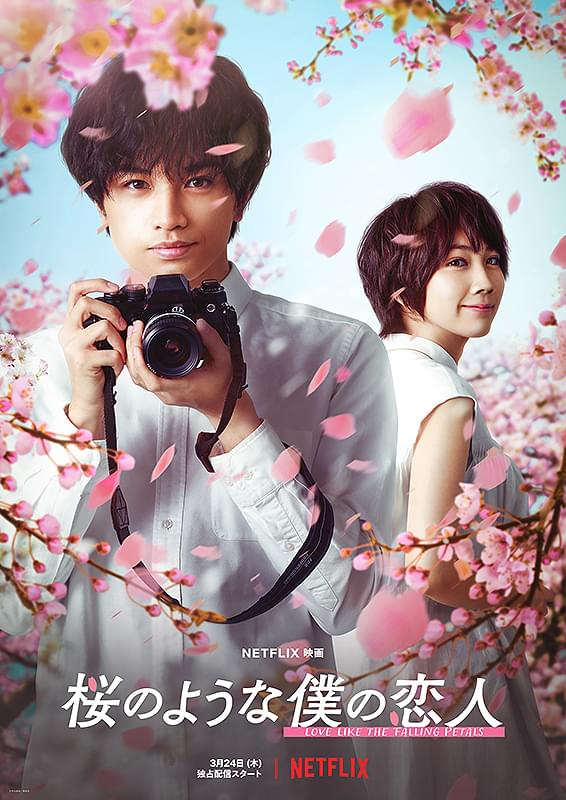 映画「桜のような僕の恋人」ポスター