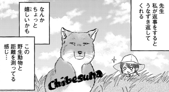 フィリスを野生のチベットスナギツネとして脳内変換しているルシル