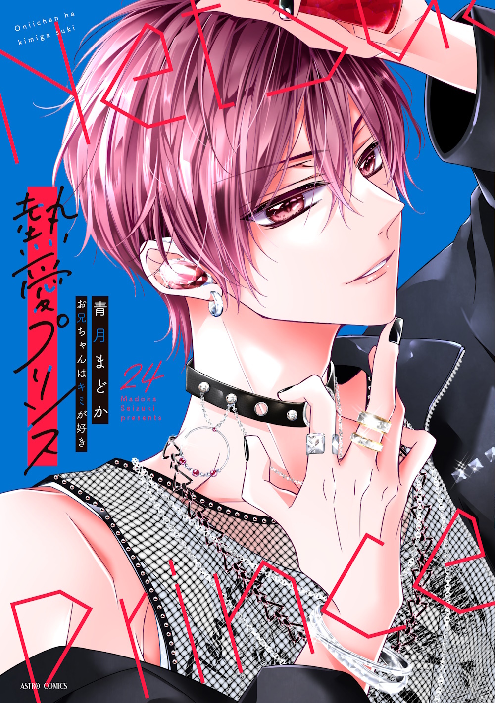 『熱愛プリンス お兄ちゃんはキミが好き 24』書影